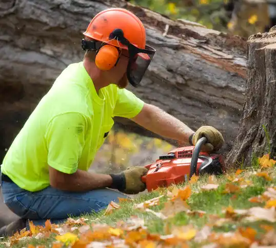 tree services Greenport West